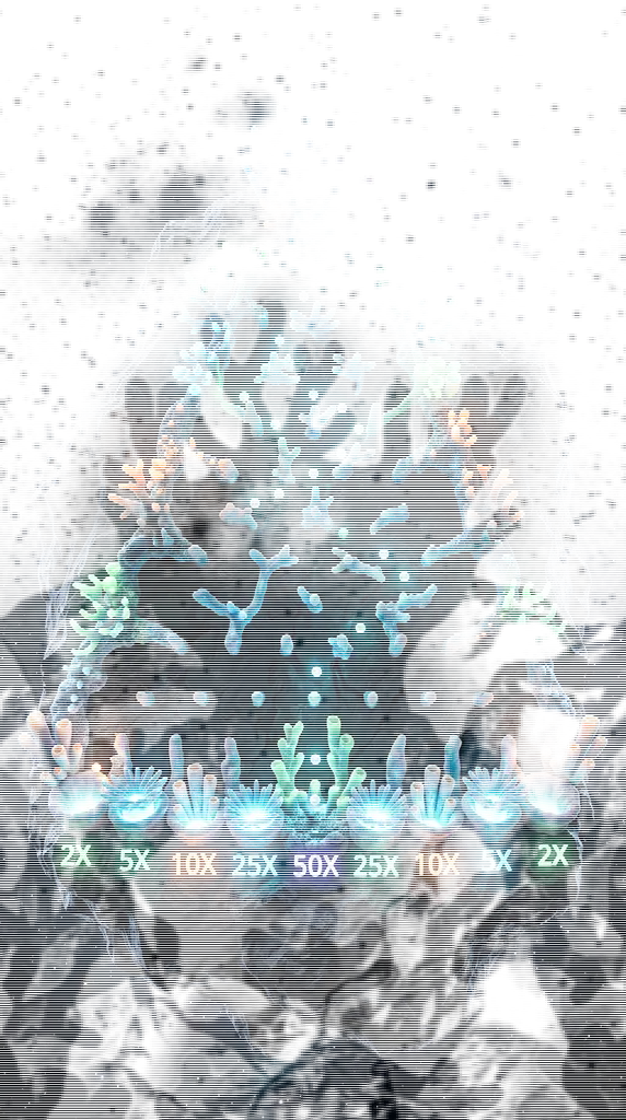 Plinko board preview